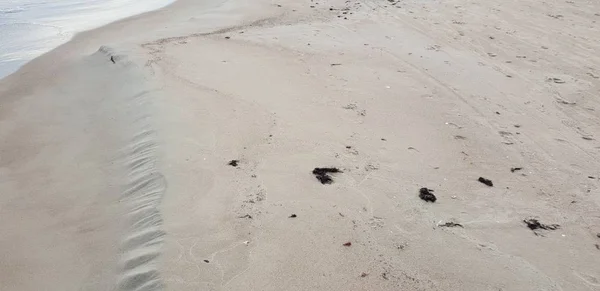 Baltische Zee Strand Ochtend — Stockfoto