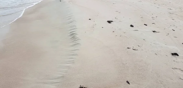 Baltische Zee Strand Ochtend — Stockfoto