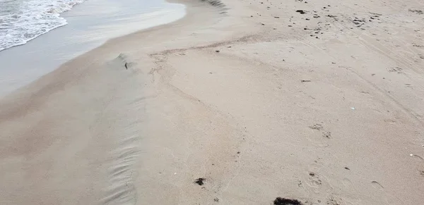 Spiaggia Del Mar Baltico Mattino — Foto Stock