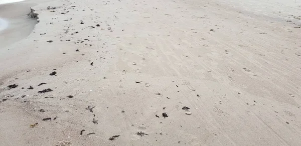 Spiaggia Del Mar Baltico Mattino — Foto Stock