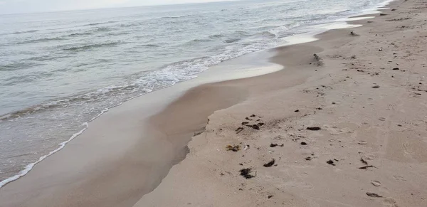 Playa Del Mar Báltico Por Mañana — Foto de Stock