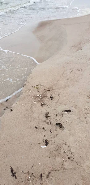 Baltische Zee Strand Ochtend — Stockfoto