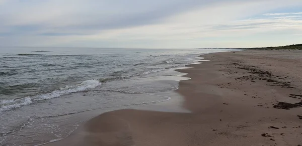 Baltık Denizi Plaj Sabah — Stok fotoğraf