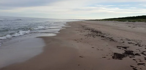 波罗的海海滩在早晨 — 图库照片