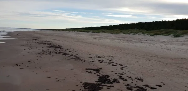 Baltık Denizi plaj sabah