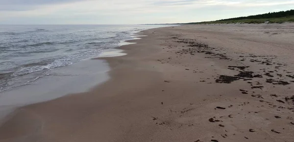 Baltské Moře Pláž Ráno — Stock fotografie