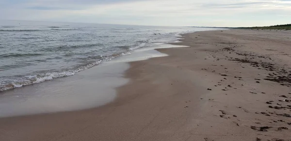 Пляжі Балтійського Моря Вранці — стокове фото