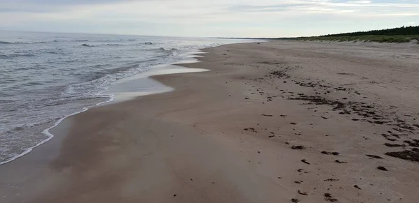 波罗的海海滩在早晨 — 图库照片