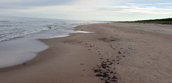 Пляжі Балтійського Моря Вранці — стокове фото