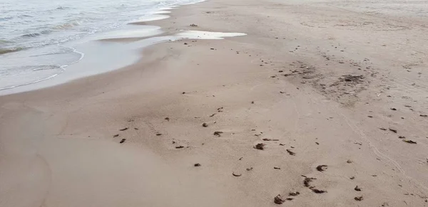 Sabbia Della Spiaggia Del Mare Baltico — Foto Stock