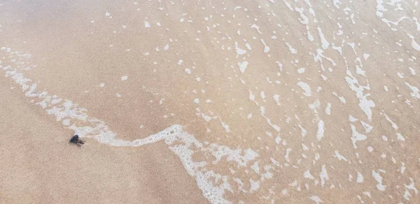 Zand Van Het Strand Van Oostzee — Stockfoto