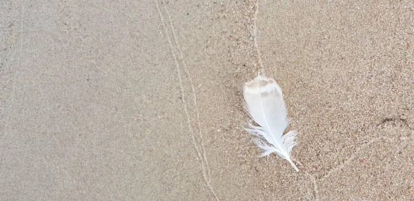 Baltık Denizi plajın kumları