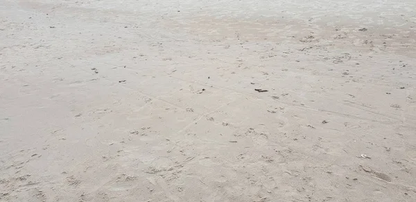 Playa Del Mar Báltico Por Mañana — Foto de Stock