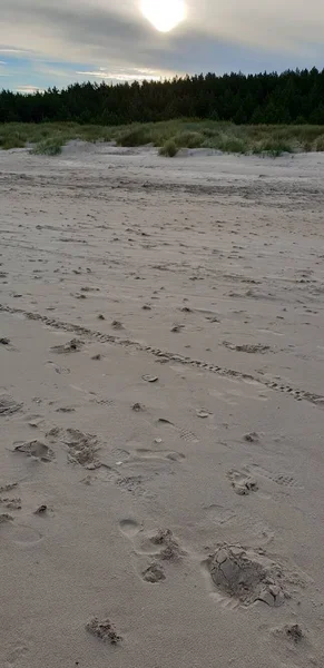 Playa Del Mar Báltico Por Mañana — Foto de Stock