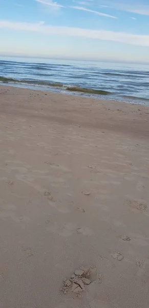 Playa Del Mar Báltico Por Mañana — Foto de Stock