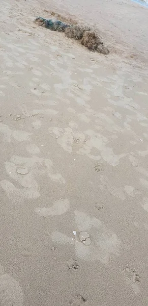 Rede Pescador Velho Que Coloca Areia Praia — Fotografia de Stock