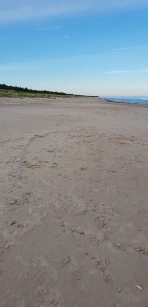 Spiaggia Del Mar Baltico Mattino — Foto Stock