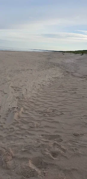 Песчаный Пляж Балтийского Моря — стоковое фото