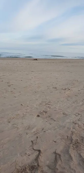 Spiaggia Del Mar Baltico Mattino — Foto Stock