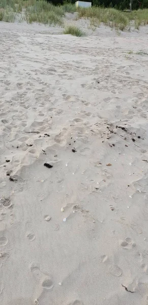 Sabbia Della Spiaggia Del Mare Baltico — Foto Stock