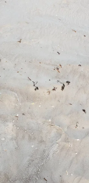 波罗的海海滩的沙子 — 图库照片