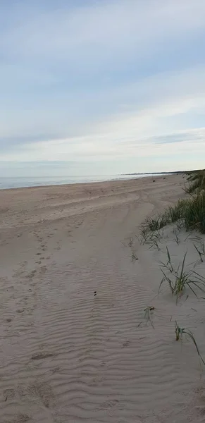 Playa Del Mar Báltico Por Mañana — Foto de Stock