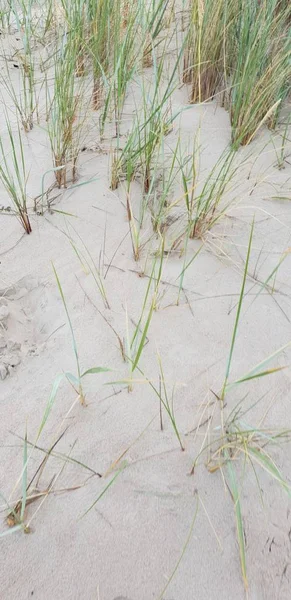 Baltık Denizi plajın kumları