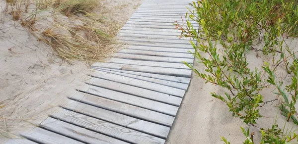 Yol, yol Baltık Denizi plaja