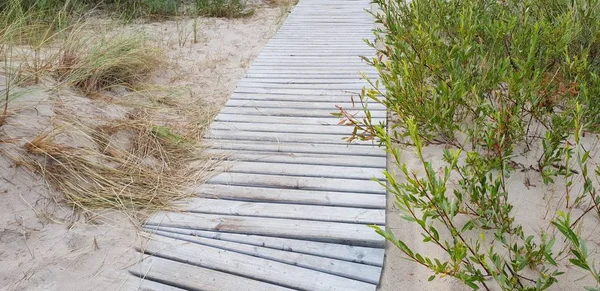 Weg Straße Zum Ostseestrand — Stockfoto