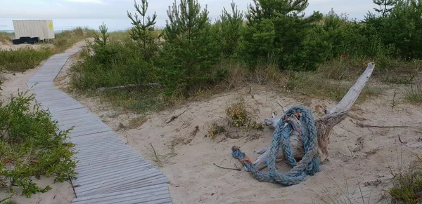 Sahilde kum yere döşeme deniz ip