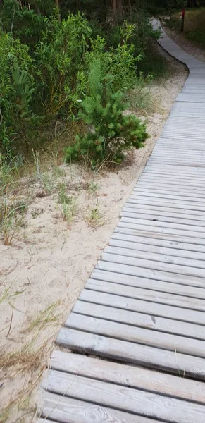 Percorso Strada Spiaggia Del Mar Baltico — Foto Stock