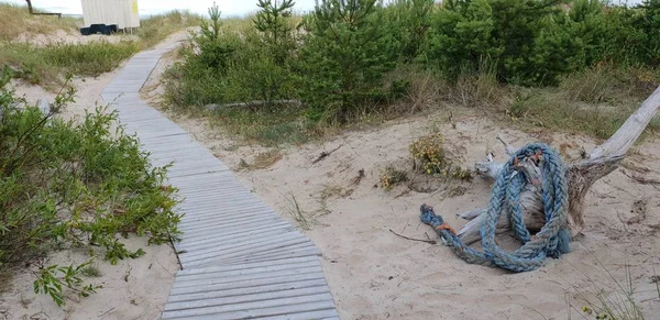 Das Meeresseil Das Auf Dem Boden Strand Auf Sand Liegt — Stockfoto