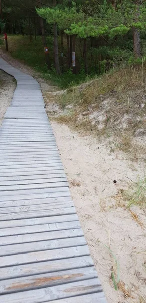 Szlak Droga Plaży Nad Morzem Bałtyckim — Zdjęcie stockowe