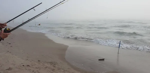 Fishing rods in the Baltic Sea beach