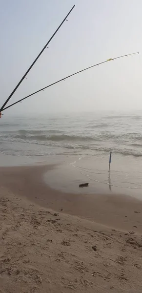 Tiges Pêche Sur Plage Mer Baltique — Photo