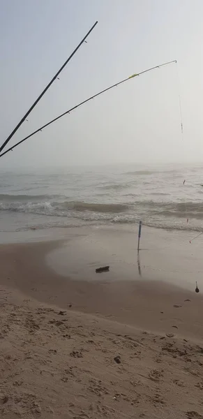 Tiges Pêche Sur Plage Mer Baltique — Photo