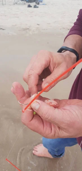 Karides Yem oltaya balık oltası sistemi Baltık Denizi yakınındaki çengel