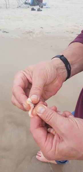 Karides Yem Oltaya Balık Oltası Sistemi Baltık Denizi Yakınındaki Çengel — Stok fotoğraf