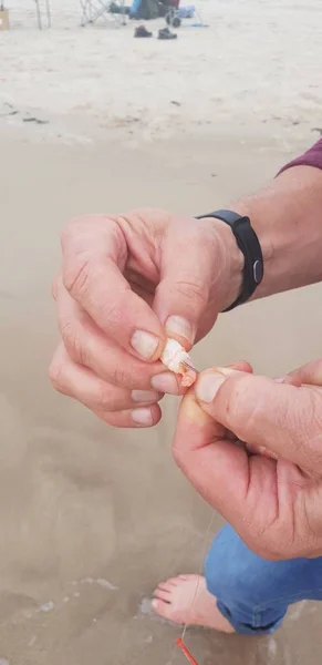 Karides Yem Oltaya Balık Oltası Sistemi Baltık Denizi Yakınındaki Çengel — Stok fotoğraf