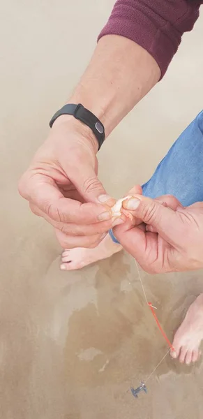 Karides Yem oltaya balık oltası sistemi Baltık Denizi yakınındaki çengel