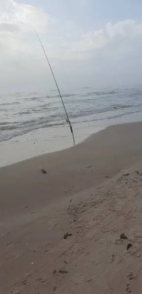 Canne Pêche Sur Plage Mer Baltique — Photo