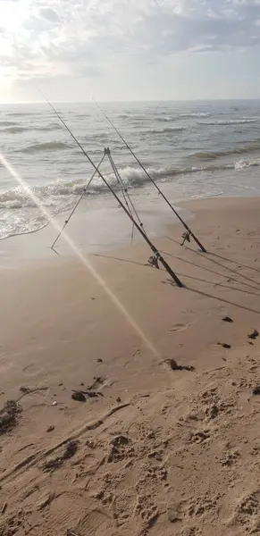 Baltık Denizi Beach Balıkçılık Çubuklar — Stok fotoğraf