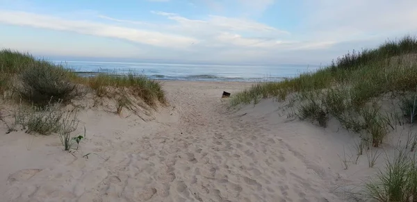 Dunes Reggel Balti Tenger Utat Tengerparti Strand Stock Kép