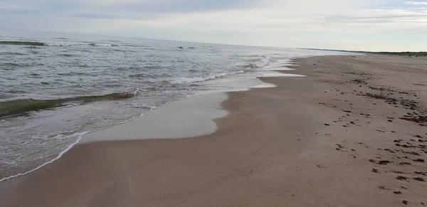 Plaży Nad Morzem Bałtyckim Godzinach Porannych Zdjęcie Stockowe