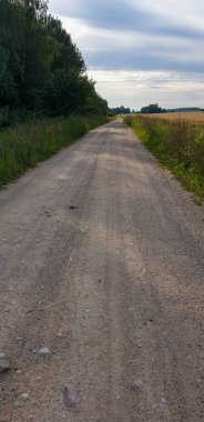 Forrest ile Old Town Road yolu