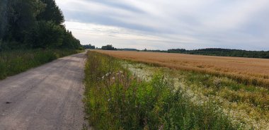 Forrest ile Old Town Road yolu