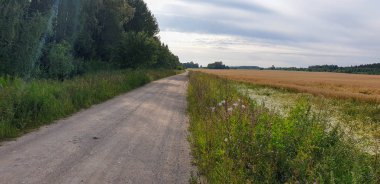 Forrest ile Old Town Road yolu