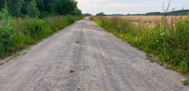 Forrest ile Old Town Road yolu