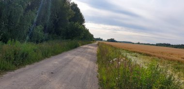 Forrest ile Old Town Road yolu