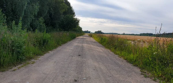 Camino de la Ciudad Vieja a través del bosque — Foto de Stock